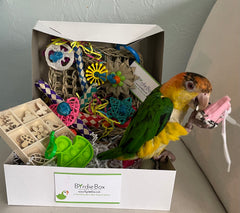 Cosmic Byrdie (Cosmic Birdie) "3-Month Prepay Subscription"